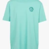 Patagonia Regular-fit T-shirt Van Katoenmix Met Ronde Hals En Zeefdruk | Groen 1 Patagonia Regular-fit T-shirt Van Katoenmix Met Ronde Hals En Zeefdruk | Groen -Havaianas Shop 2520337