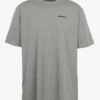 Patagonia Regular-fit T-shirt Met Ronde Hals En Zeefdruk Katoenblend | Grijs -Havaianas Shop 2520338