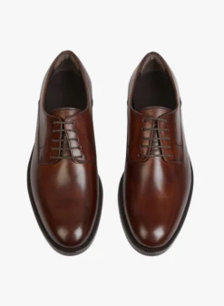 Minelli RENALDO - Leren Derby's | Bruin -Havaianas Shop 2881188