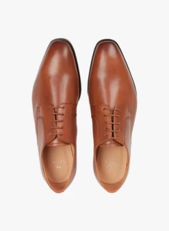 PAUL SMITH Gladde, Leren Derby's | Bruin -Havaianas Shop 3694644