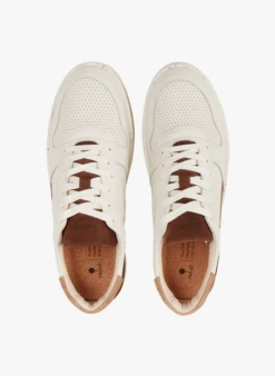Faguo ALDER - Lage, Leren Sneakers | Beige 23 Faguo ALDER - Lage, Leren Sneakers | Beige -Havaianas Shop 4052827