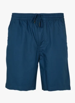 Havaianas Shop 36 Patagonia M's LW All-Wear Hemp Volley Shorts - Short | Blauw