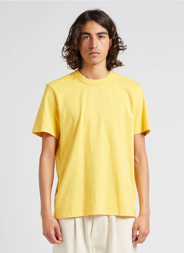 RODGER H - Regular-fit, Katoenen T-shirt Met Ronde Hals | Geel 4 RODGER H - Regular-fit, Katoenen T-shirt Met Ronde Hals | Geel - Afbeelding 2