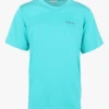 Columbia THISTLETOWN HILLS - T-shirt Van Katoenmix Met Ronde Hals En Zeefdruk | Blauw 1 Columbia THISTLETOWN HILLS - T-shirt Van Katoenmix Met Ronde Hals En Zeefdruk | Blauw -Havaianas Shop 4210034