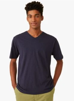 HAMILTON - Regular-fit, Katoenen T-shirt Met V-hals | Blauw -Havaianas Shop 4213047